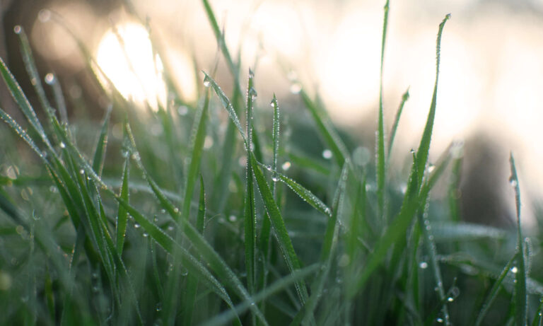 Om deze 5 redenen mag jij nu trots zijn op jezelf - Mindful Green