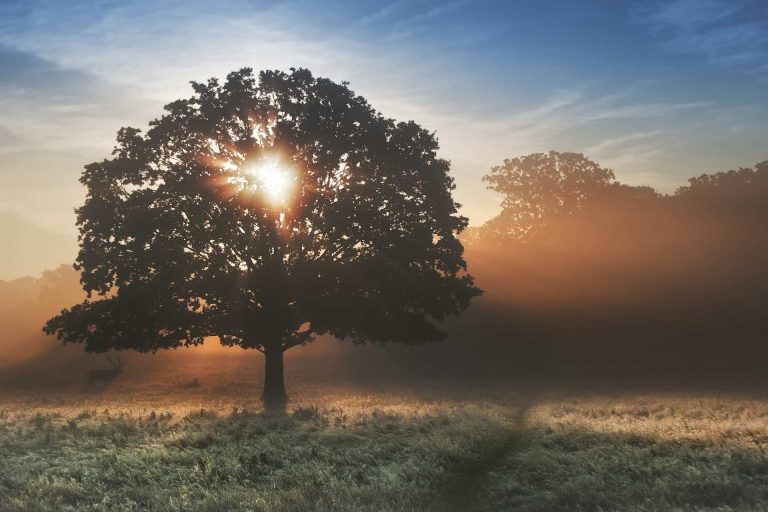 Innerlijke klok wintertijd Mindful Green