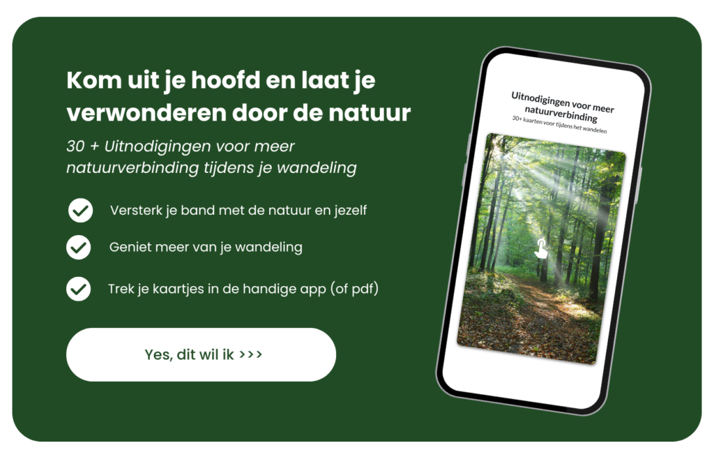 Meer natuurverbinding mindful wandelen
