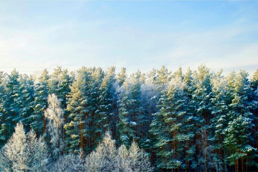 Ritme energetische winter