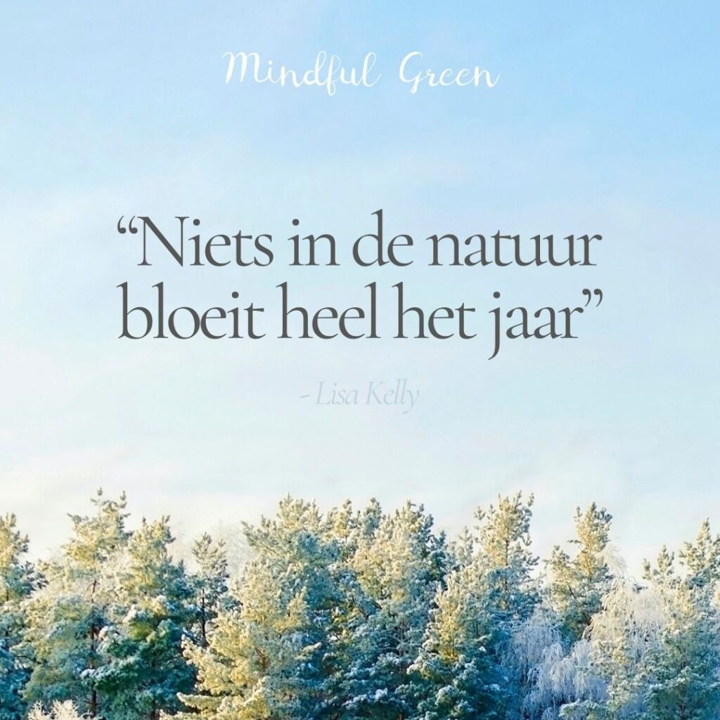Winter quote over geduldig zijn met jezelf